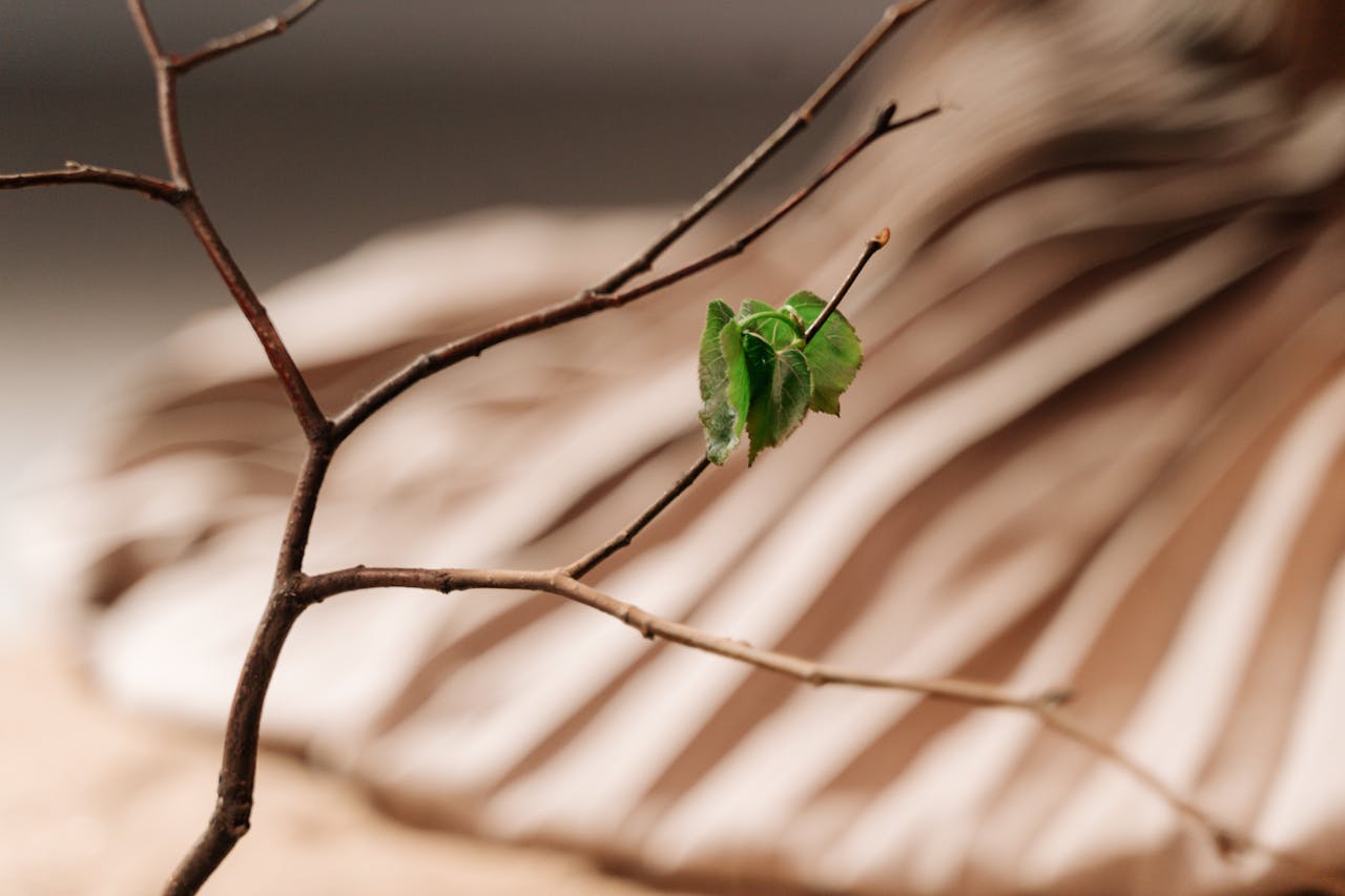 A detailed view of a green leaf on a twig against a blurred abstract backdrop.